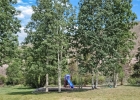 753 Straight Creek Drive 201 photo 30