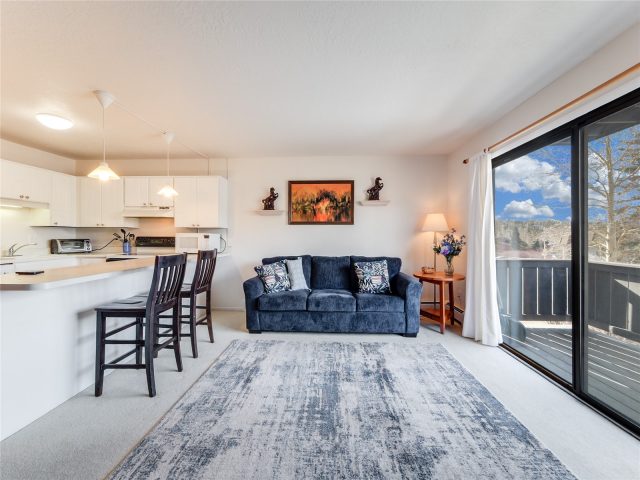 Condo in Dillon Valley East Condo, Dillon, CO — photo 4 (MLS S1066254)