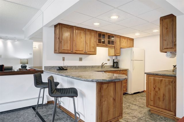 Condo in Beaver Run Condo, Breckenridge, CO — photo 4 (MLS S1066331)