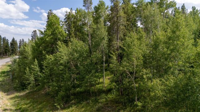 Land in Eagles Nest Golf Course Sub, Silverthorne, CO — photo 4 (MLS S1066391)