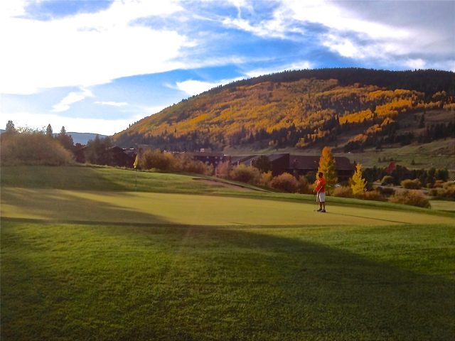 91 Masters Drive photo 41