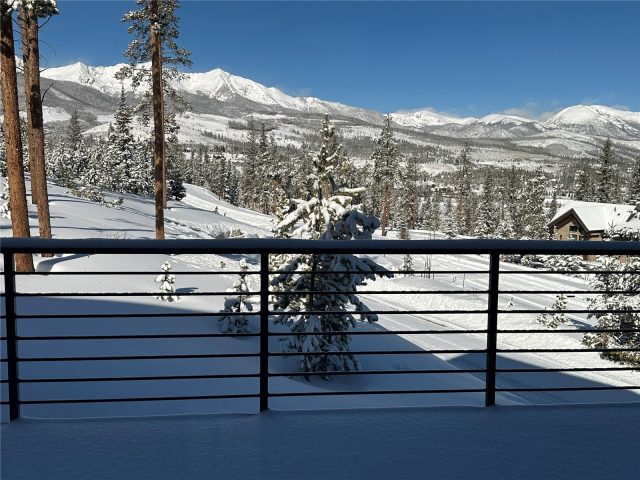 135 Hamilton Court photo 35