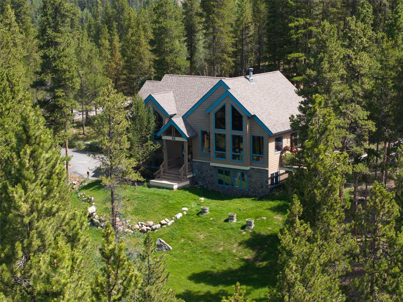 463 Blue Flag Circle, Breckenridge, CO — main photo