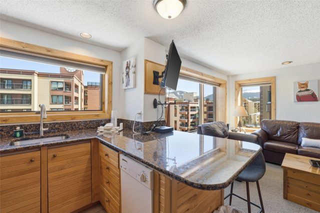 535 S Park Avenue 505 photo 10