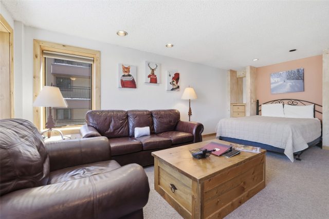 Condo in Liftside Condo, Breckenridge, CO — photo 5 (MLS S1067512)