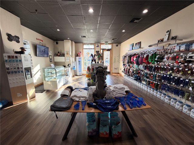 505 S Main Street B4 photo 3
