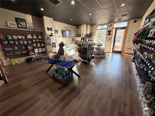 505 S Main Street B4 photo 4