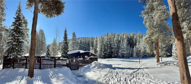 78 Guller Road 303 photo 32