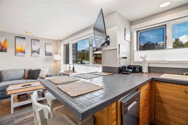 535 S Park Avenue 4215 photo 13
