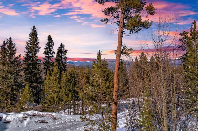 Home in Peak Seven West Sub, Breckenridge, CO — photo 2 (MLS S1067614)