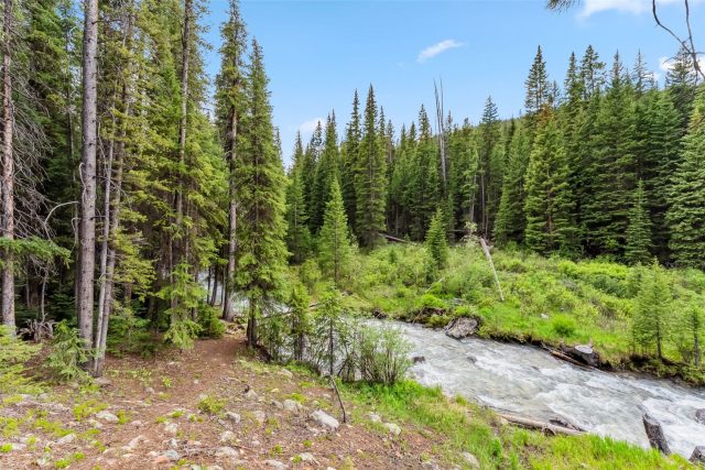 Residential in Metes And Bounds - Keyst, Montezuma, CO — photo 4 (MLS S1067655)