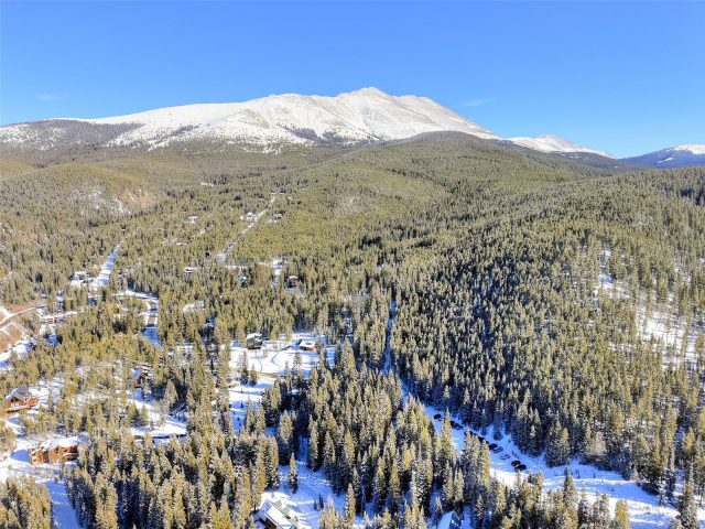 3362 Boreas Pass Road photo 10