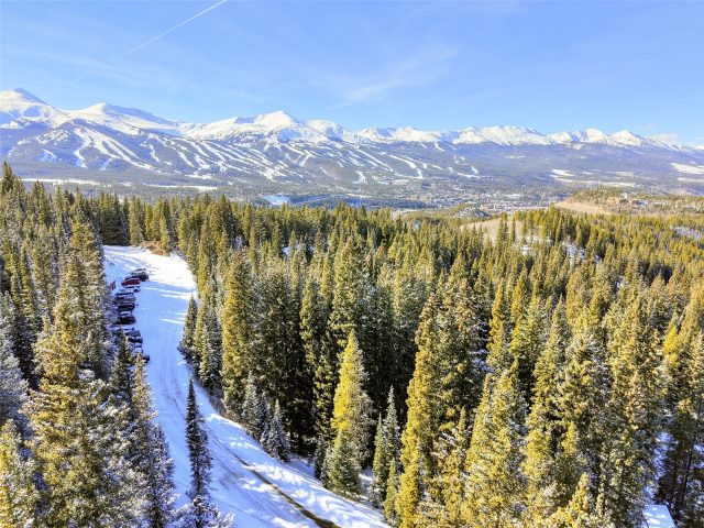 3362 Boreas Pass Road photo 11