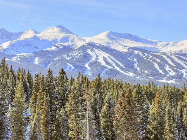 3362 Boreas Pass Road photo 12