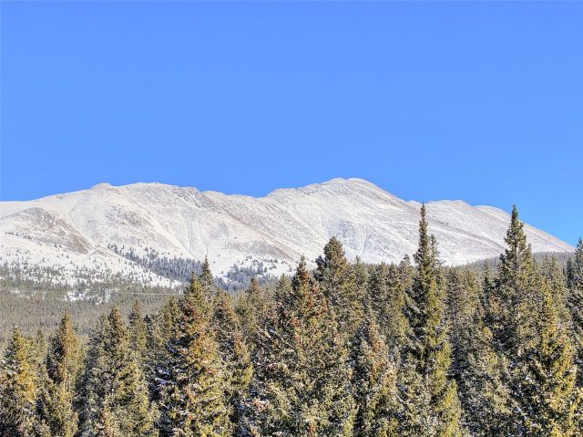 3362 Boreas Pass Road photo 13