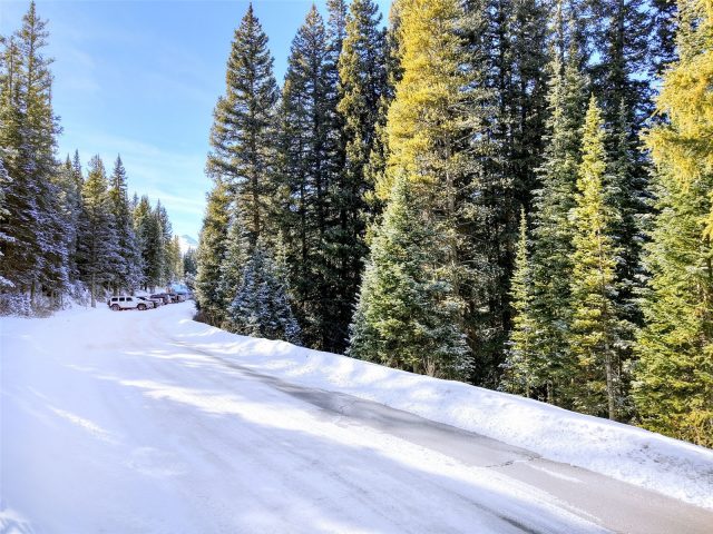 3362 Boreas Pass Road photo 14