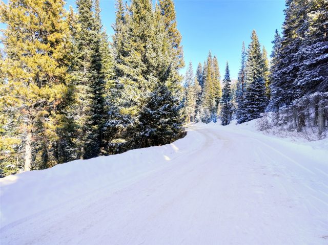 3362 Boreas Pass Road photo 15