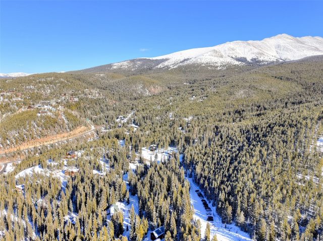 3362 Boreas Pass Road photo 16