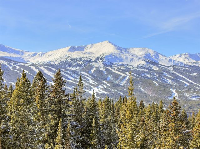 Land in Breckenridge Park Estates Sub #1, Breckenridge, CO — photo 1 (MLS S1067658)