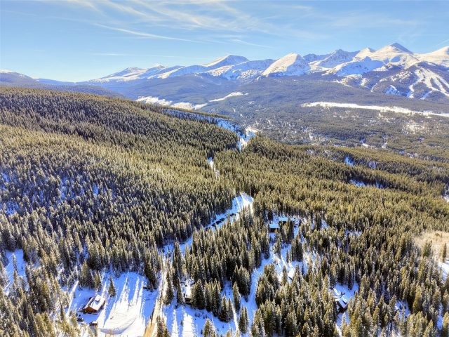 3362 Boreas Pass Road photo 7