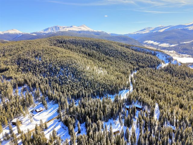 3362 Boreas Pass Road photo 8
