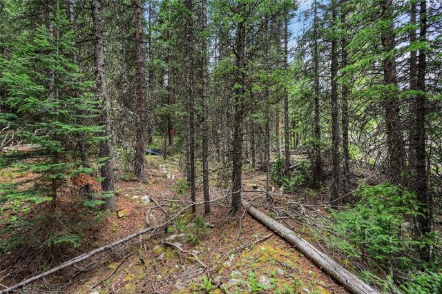 286 County Road 675 photo 12