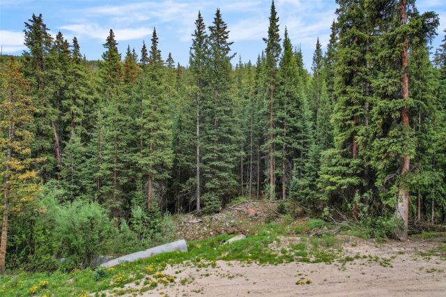 Land in Alpine Breckenridge Sub, Breckenridge, CO — photo 4 (MLS S1067677)