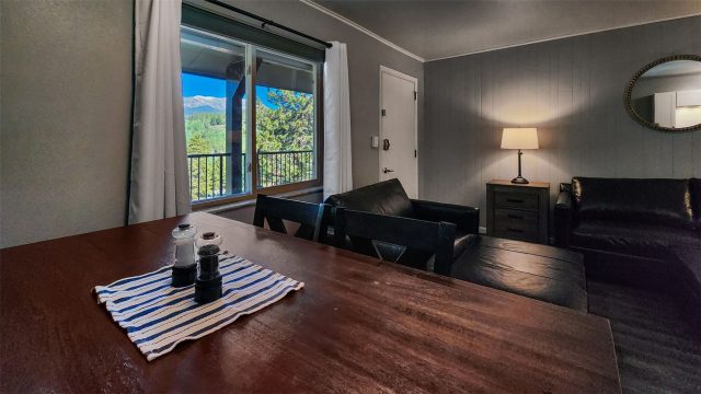 Condo in Val Disere Condo, Breckenridge, CO — photo 2 (MLS S1067696)