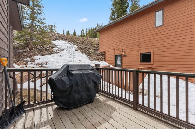 1692 Boreas Pass Road D photo 11