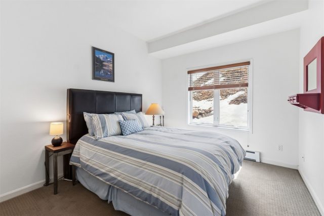 1692 Boreas Pass Road D photo 18