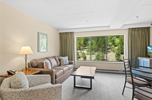 Condo in Beaver Run Condo, Breckenridge, CO — photo 2 (MLS S1067726)
