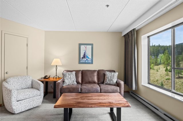 Condo in Beaver Run Condo, Breckenridge, CO — photo 5 (MLS S1067726)