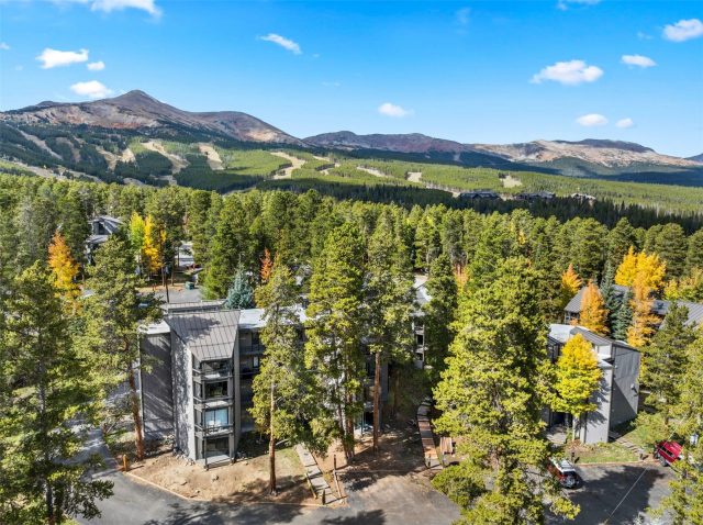 Condo in Gold Camp Condo Ii, Breckenridge, CO — photo 1 (MLS S1067780)