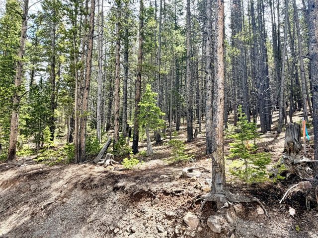 Land in Breckenridge Park Estates Sub #1, Breckenridge, CO — photo 6 (MLS S1067803)