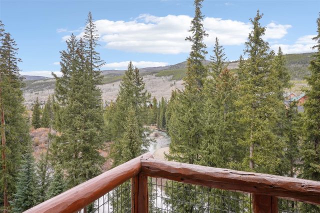 224 Trailhead Drive 3075 photo 46