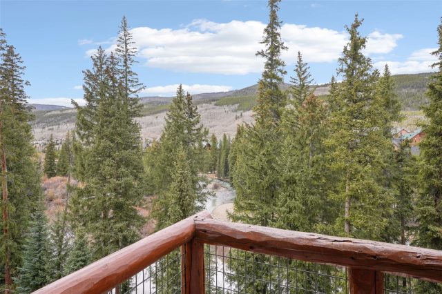 224 Trailhead Drive 3075 photo 47