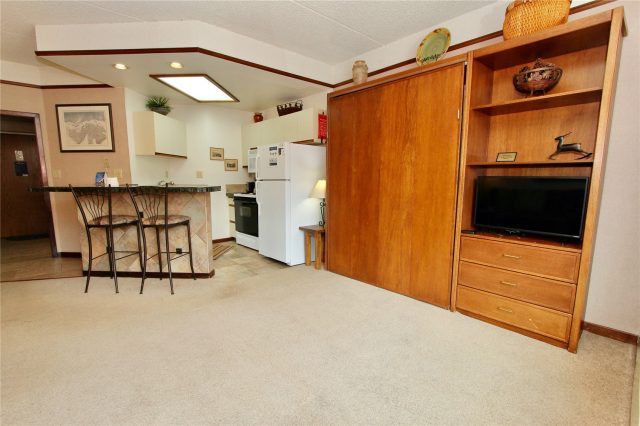 45 Beeler Place 314 photo 9