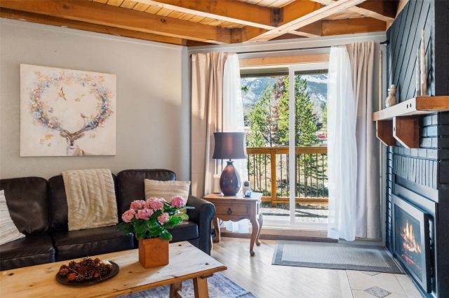 Condo in Treehouse Condo, Silverthorne, CO — photo 5 (MLS S1067841)