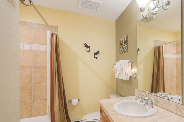 71 Antlers Gulch Road 303 photo 14