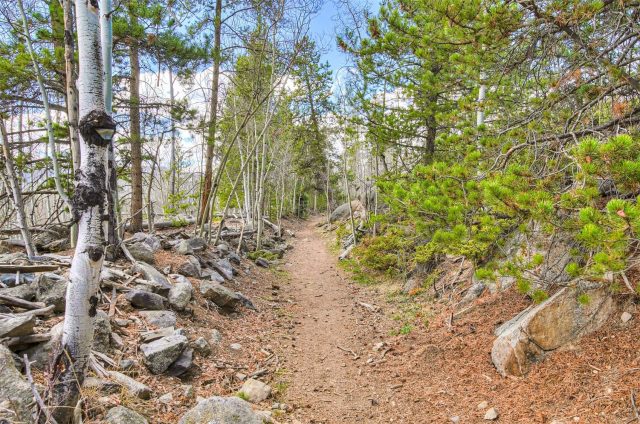 71 Antlers Gulch Road 303 photo 33