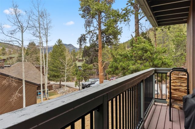 423 Wild Irishman Road 1010 photo 18