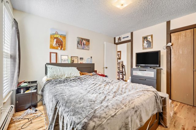2401 Ryan Gulch Court 2401 photo 10