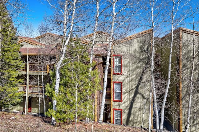 2401 Ryan Gulch Court 2401 photo 12