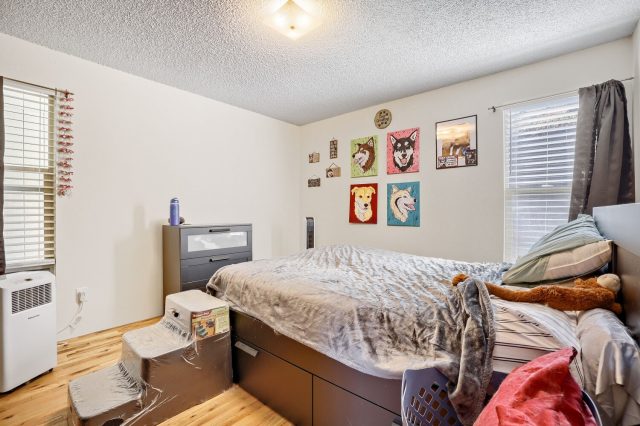 2401 Ryan Gulch Court 2401 photo 7