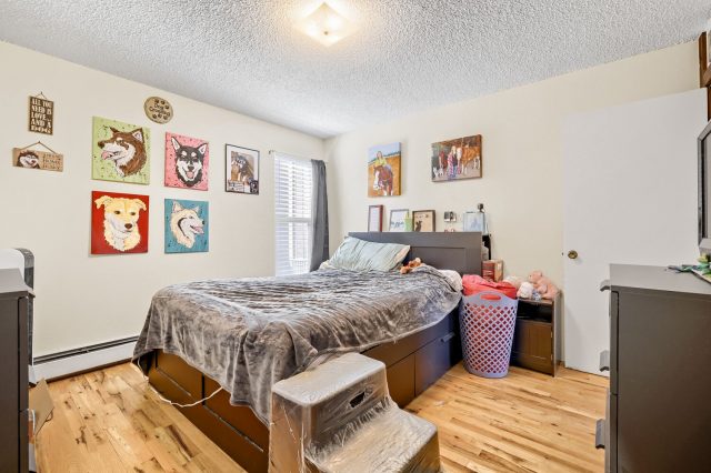 2401 Ryan Gulch Court 2401 photo 8