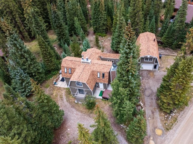 Home in Valley Of The Blue Sub, Breckenridge, CO — photo 1 (MLS S1067902)