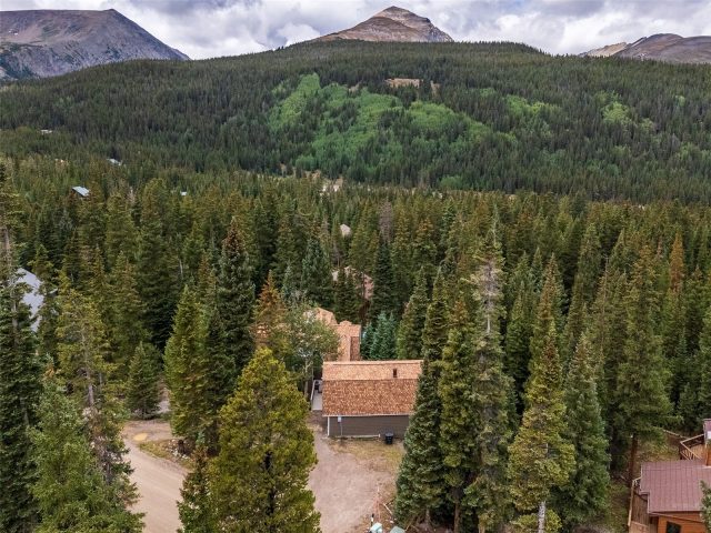 Home in Valley Of The Blue Sub, Breckenridge, CO — photo 2 (MLS S1067902)