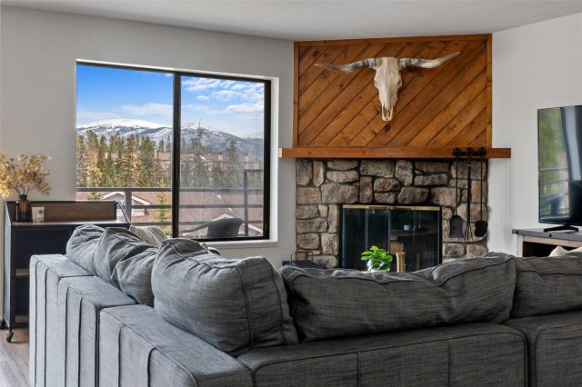 9876 Ryan Gulch Road F-206 photo 7