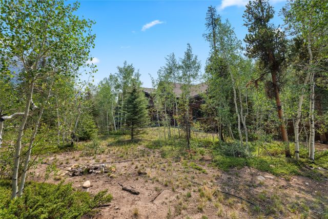 225 Alpen Rose Place 8708 photo 45