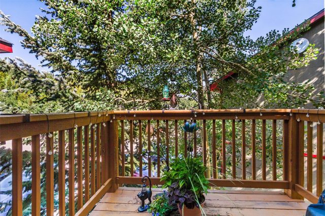 304 Illinois Gulch Road 204 photo 9